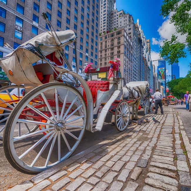Christmas in Central Park: Horse Carriage Holiday Tour - The 40-minute holiday loop: what you’ll actually see in Central Park