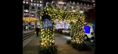 Christmas in New York: Skip-the-Line Holiday Lights Tour - Meet at Central Park South, then roll straight into Times Square
