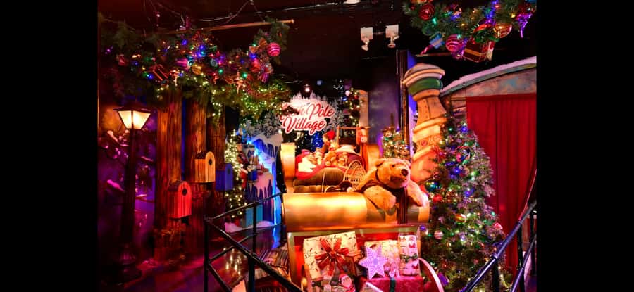 Christmas in New York: Skip-the-Line Holiday Lights Tour - Price and value vs. doing it on your own