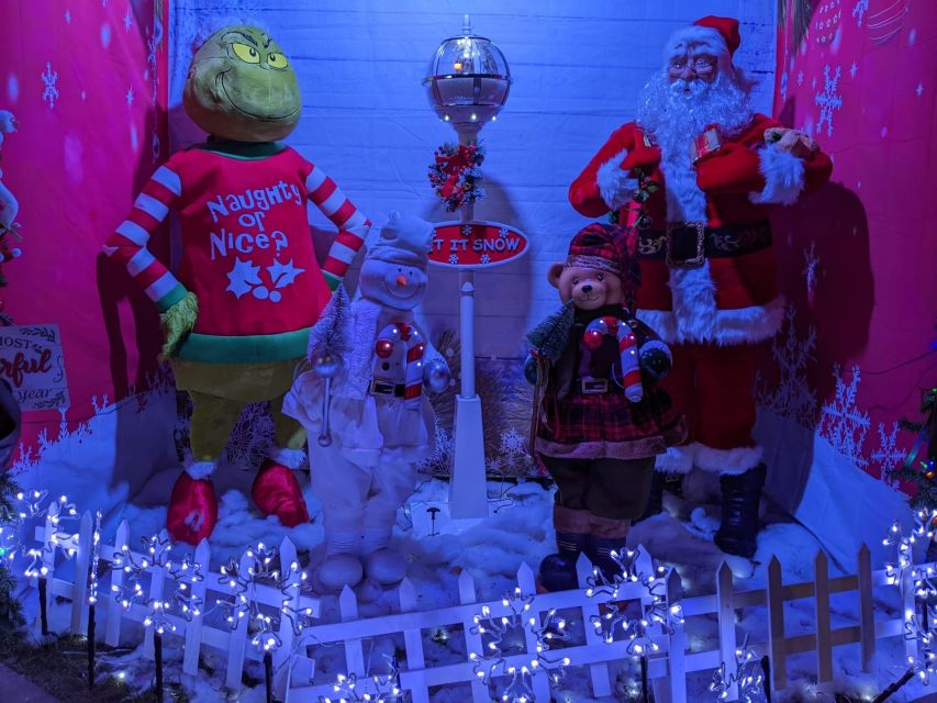 Christmas Light Night tour - Who This Brooklyn Lights Night Tour Fits Best