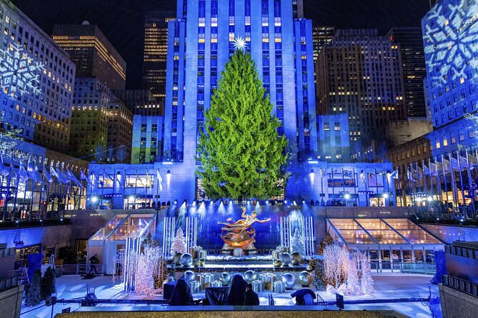 Christmas Light Private Carriage Ride New York City - Key highlights worth knowing