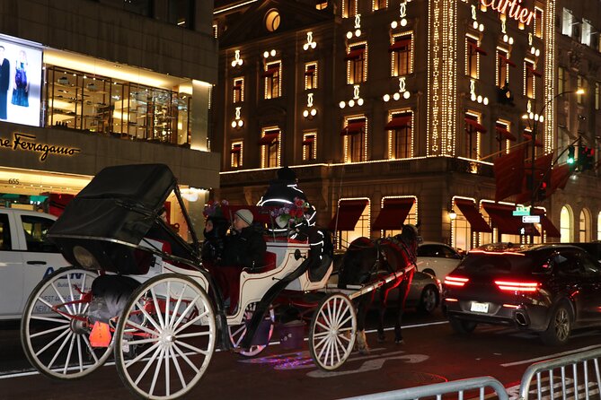 Christmas Light Private Carriage Ride New York City - Gar Pond in winter: scenic views, not a lights-only stop