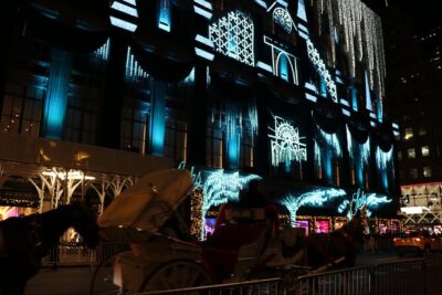 Christmas Light Private Carriage Ride New York City - 40 to 45 minutes of holiday calm in a private carriage