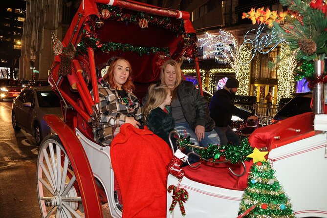 Christmas Light Private Carriage Ride New York City - Saks Fifth Avenue synchronized LED light show