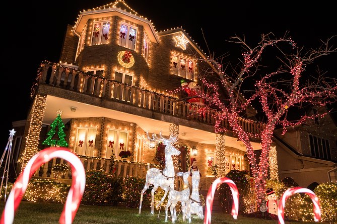 Dyker Heights Christmas Lights and NYC Skyline View Bus Tour - Coach Comfort, Restrooms, and What to Expect on Board