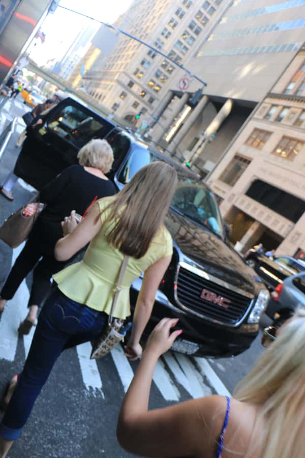 Everything New York City Private SUV Tour - Should you book this Everything New York City SUV tour?