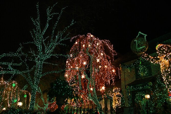 French Christmas Tour in Brooklyn - Who this tour suits best