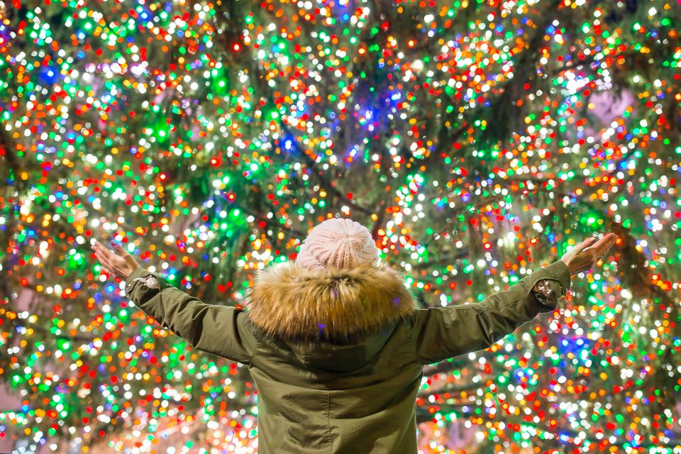 From Manhattan: 4-Hour Christmas Lights Luxury Bus Tour - Dyker Heights: One Hour of Christmas Overdrive (In a Good Way)