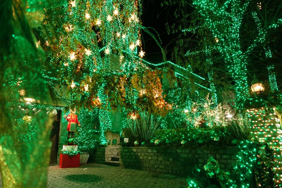 From Manhattan: 4-Hour Christmas Lights Luxury Bus Tour - Brooklyn Bridge Park to Greenwich Village: Photo and Story Stops