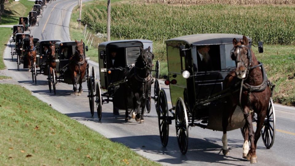 From New York City: Philadelphia & Amish Community Day Trip - Key highlights to know before you go