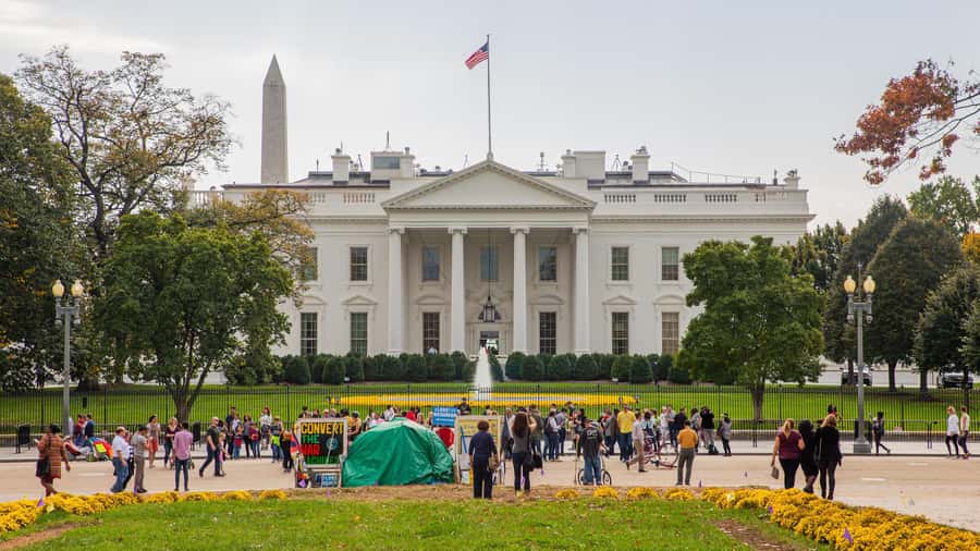 From New York: Washington Excursion in 1 Day - Why this New York to Washington DC day trip feels worth it