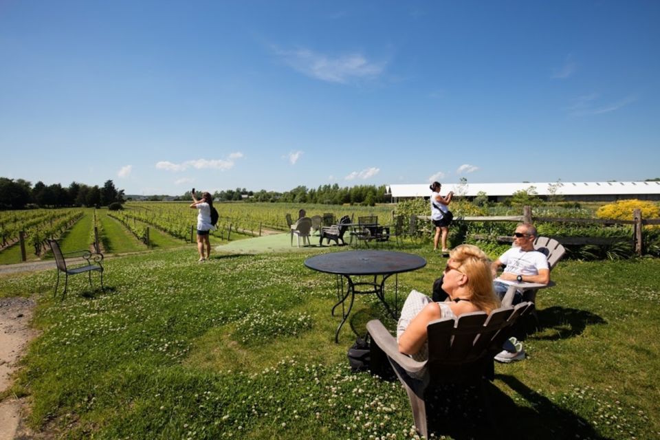 From NYC: Hamptons, Sag Harbor, and Outlet Shopping Day Trip - Price and logistics: is $179 really value?