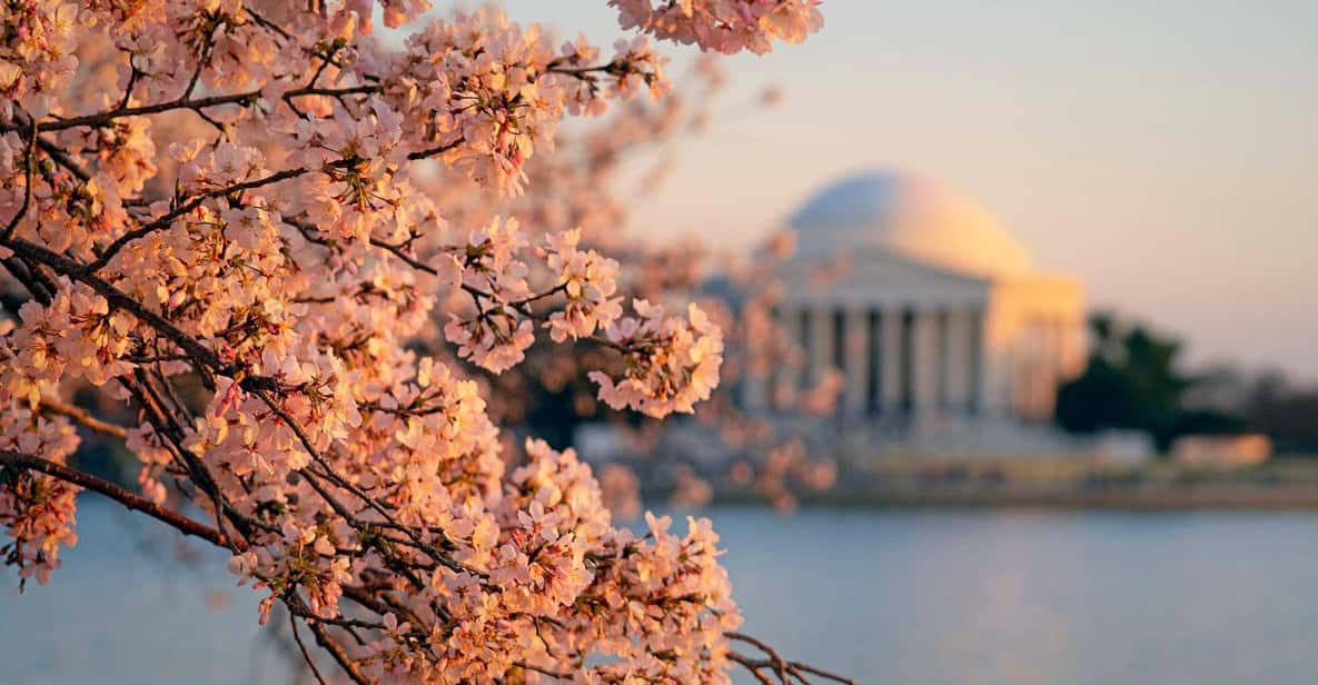 From NYC: Niagara Falls, Washington DC and Boston 4-Day Trip - Key Highlights Worth Marking On Your Calendar