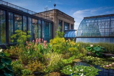 From NY:Shri Swaminarayan Mandir,Longwood Gardens 1-day Tour - BAPS Shri Swaminarayan Mandir in Robbinsville: More Than a Photo Stop