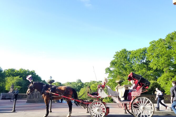 Full loop Private Horse Carriage Ride in Central Park 45 Minutes - Key Things I’d Actually Watch For