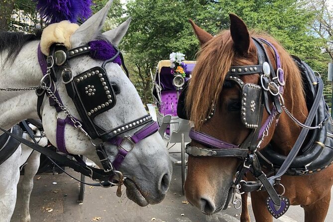 Full loop Private Horse Carriage Ride in Central Park 45 Minutes - The 40-45 Minute Central Park Loop: What You See in Order
