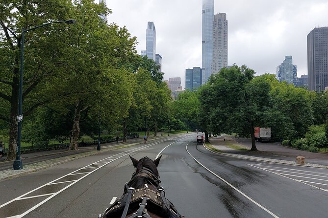 Full loop Private Horse Carriage Ride in Central Park 45 Minutes - Photo Pacing: Great Opportunities, Sometimes a Need for More Time