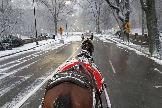 Full loop Private Horse Carriage Ride in Central Park 45 Minutes - When to Go: Afternoon and Evening Slots + Weather Reality