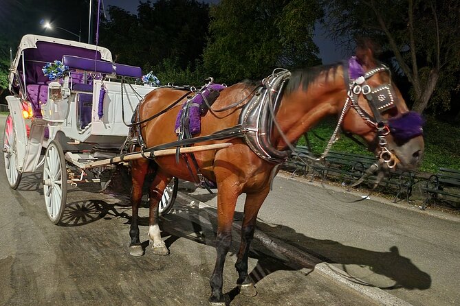 Full loop Private Horse Carriage Ride in Central Park 45 Minutes - Who This Private Central Park Carriage Ride Fits Best