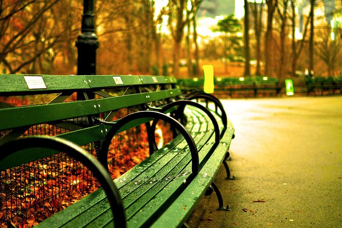 Guided Admission to Modern Art and Metropolitan Museums in NYC - Central Park and Fifth Avenue: The Part That Makes Everything Else Easier