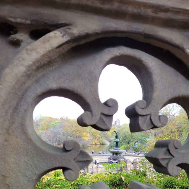 Guided Economy Pedicab Tour in Central Park - Bethesda Fountain: a proper photo stop with real time
