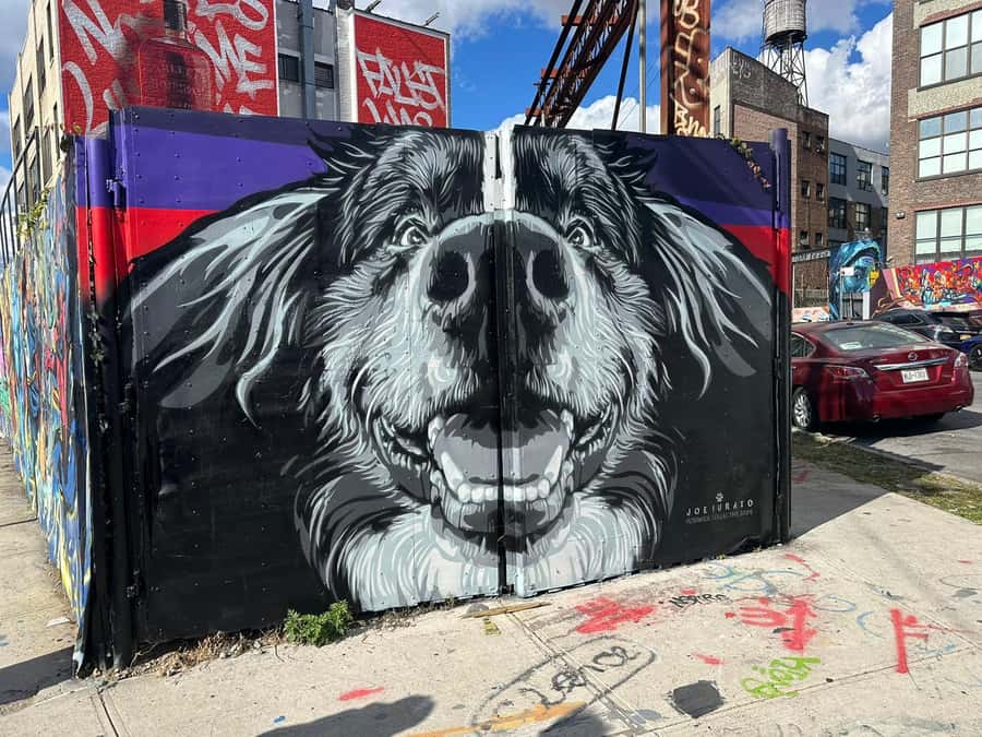 Guided tour in French of Brooklyn Bushwick and Williamsburg - East River State Park and hand-painted advertising posters: the skyline payoff
