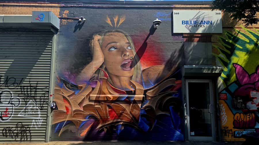 Guided tour in French of Brooklyn Bushwick and Williamsburg - Price, time, and what $55 really buys you