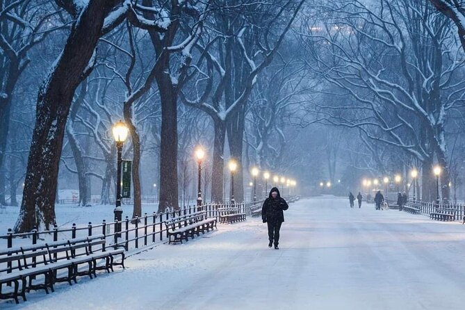 Guided Tour inside Central Park with Pedicab - The Mall to Bethesda Terrace: your best photo window on the whole loop