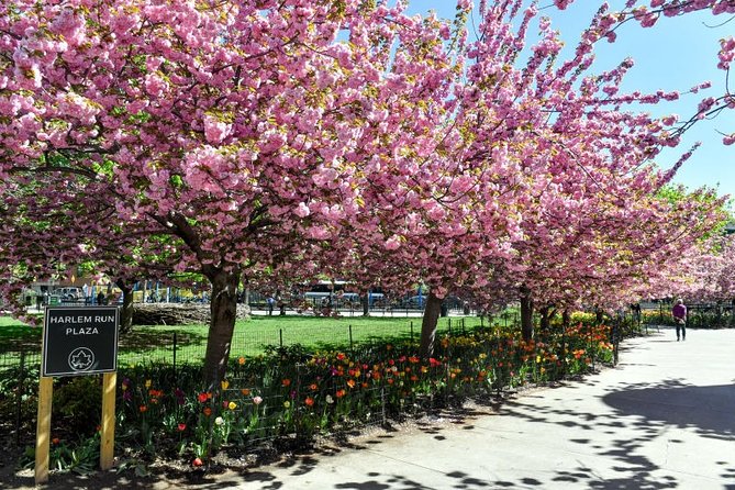 Harlem Walking Tour: Mount Morris Park Historic District w/ Lunch - Harlem’s historic neighborhood “welcome”: how the guide sets your map