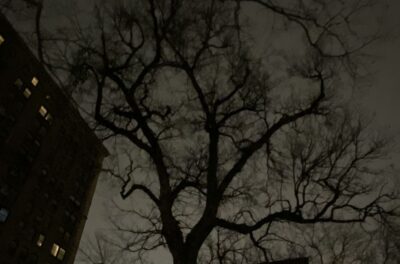 Haunted Village of New York City walking tour - A Church Graveyard With Peter Stuyvesant’s Spirit