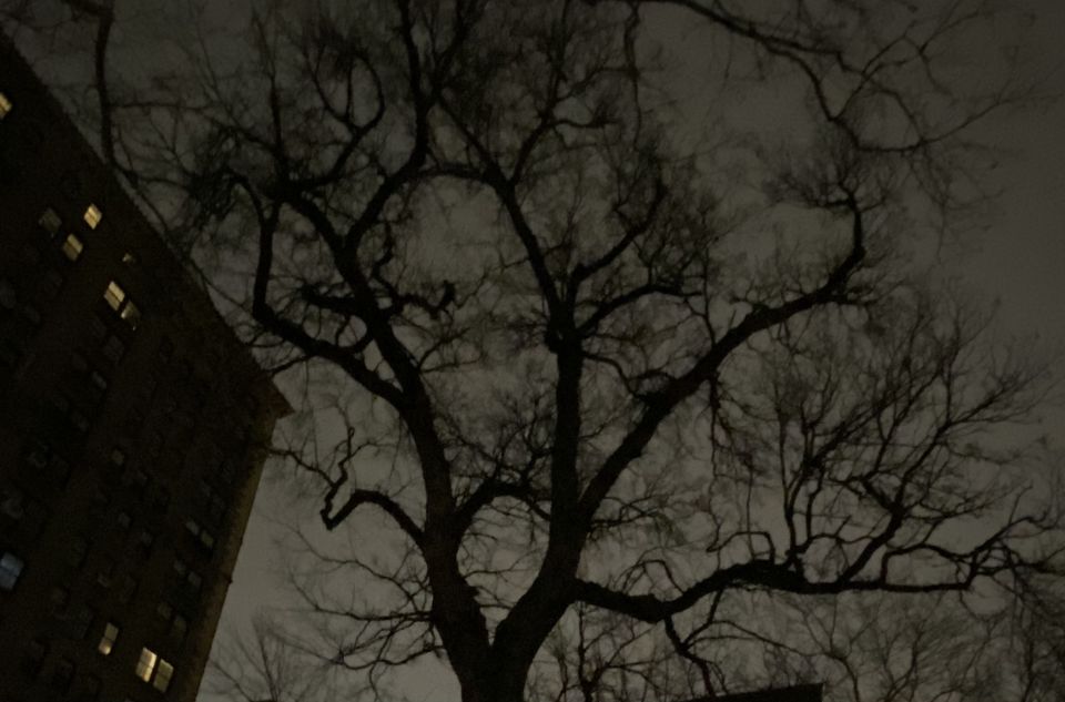 Haunted Village of New York City walking tour - A Church Graveyard With Peter Stuyvesant’s Spirit