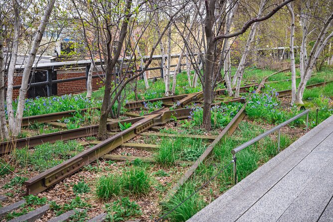 High Line and Chelsea Market 3 Hour Private Tour - Who this High Line and Chelsea Market tour is best for (and who should skip)