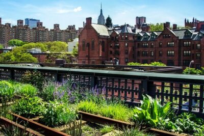 Highline and Chelsea Markets Tour - High Line: plants, studio windows, and the Death Avenue backstory