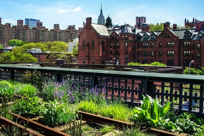 Highline and Chelsea Markets Tour - High Line: plants, studio windows, and the Death Avenue backstory