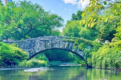 Home Alone 2 and Elf Locations Tour in Central Park - Plaza and Wollman Rink: the Home Alone 2 hits you can frame fast