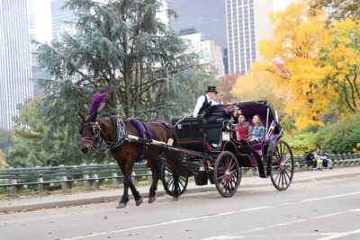 Horse Carriage Ride with Tavern on the Green Pick-Up & Drop-Off - Tavern on the Green: a practical stop with a real reason to exist