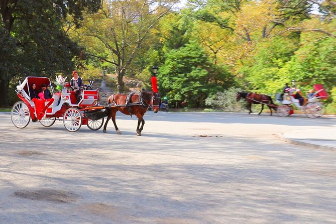 Horse Carriage Ride with Tavern on the Green Pick-Up & Drop-Off - Horses, names, and the human touch