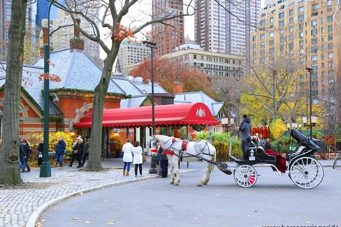 Horse Carriage Tour in New York City's Central Park Small Loop - A 20-minute carriage loop that fits real itineraries