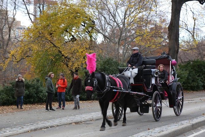 Horse Carriage Tour in New York City's Central Park Small Loop - The Dairy Visitor Center area, Wollman Rink, and Central Park Zoo views