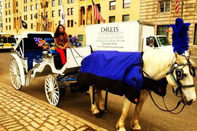 Horse Carriage Tour in New York City's Central Park Small Loop - The east-side route: statues, playground energy, and classic park corners