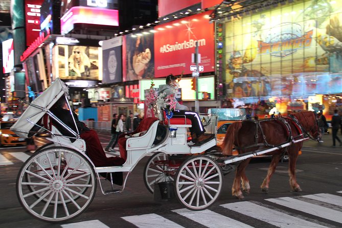 Horse Carriage Tour in New York City's Central Park Small Loop - Gapstow Bridge and Pond views: the Home Alone 2 moment