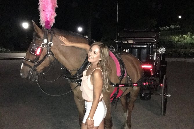 Horse Carriage Tour in New York City's Central Park Small Loop - Comfort on an outdoor ride: blankets and timing