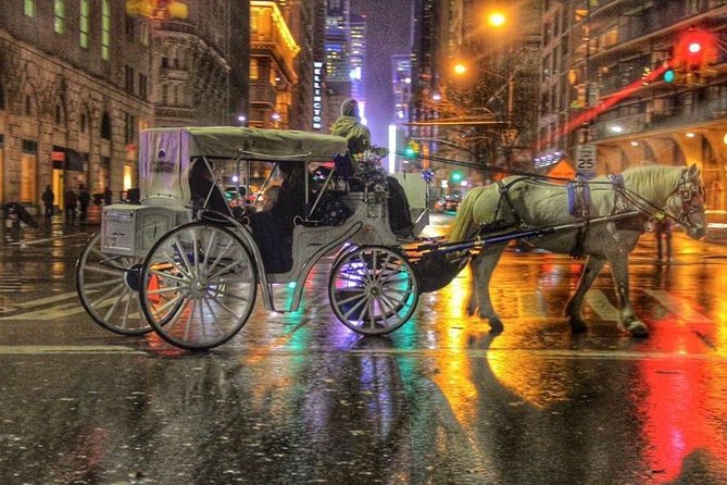 Horse Carriage Tour in New York City's Central Park Small Loop - Group size, privacy, and why that changes the vibe