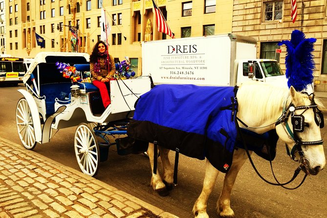 Horse Carriage Tour in New York City's Central Park Small Loop - The east-side route: statues, playground energy, and classic park corners