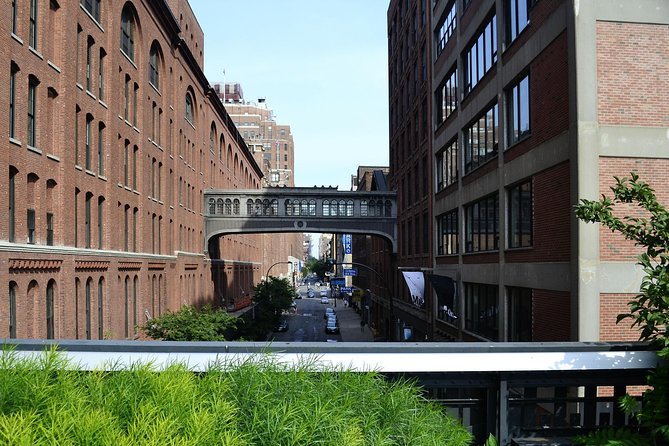 Hudson Yards the High Line and the New Vessel - Who this tour fits best