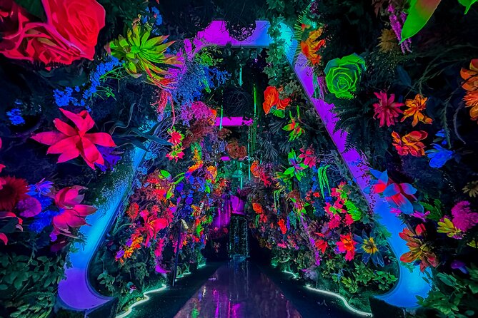 INTER Immersive Adventure Ticket - Price and value: is $38.06 a good deal?