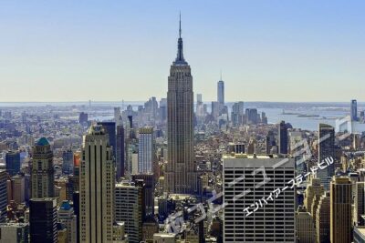 JAPANESE guided tour!! New York city "1-day" sightseeing tour. Times Square, the Statue of Liberty, Wall St, and more. - The free observation ticket: choose wisely, then use it right