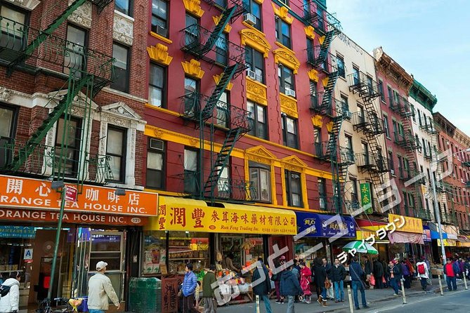JAPANESE guided tour!! New York city "1-day" sightseeing tour. Times Square, the Statue of Liberty, Wall St, and more. - Dumbo: views, a real break, and a neighborhood that earns attention