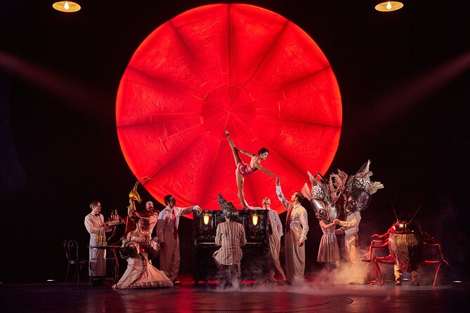 Luzia by Cirque du Soleil: Under the Big Top in New York City - The non-food reality: what to do about snacks and drinks