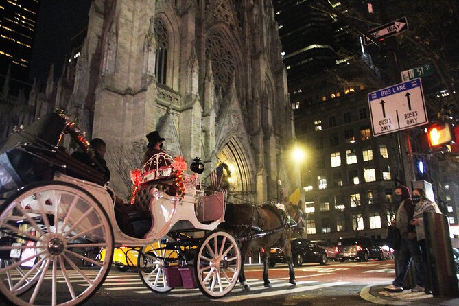 Magical Evening Horse-Drawn Carriage through NYC (65 min) - Central Park Pickup and a Private Group That Actually Feels Private